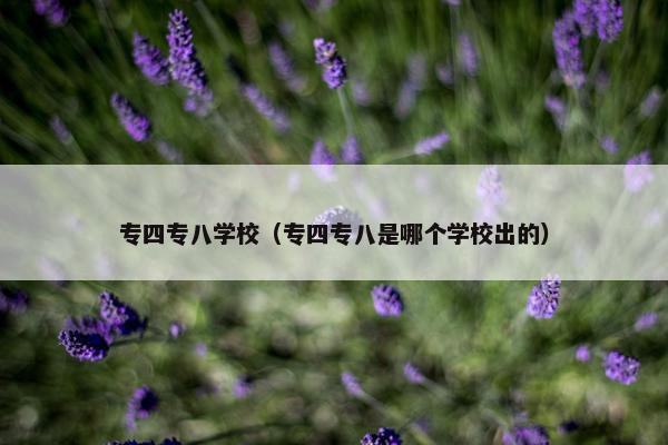 专四专八学校（专四专八是哪个学校出的）