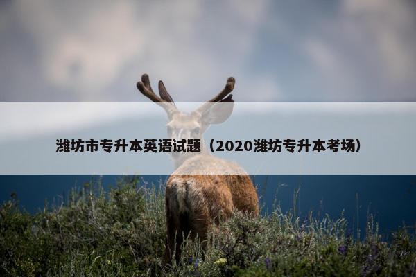 潍坊市专升本英语试题（2020潍坊专升本考场）