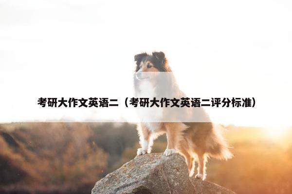 考研大作文英语二（考研大作文英语二评分标准）