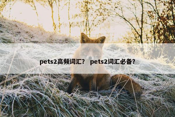 pets2高频词汇？ pets2词汇必备？