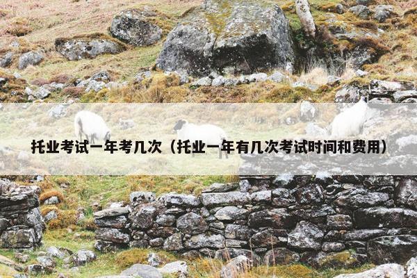 托业考试一年考几次（托业一年有几次考试时间和费用）