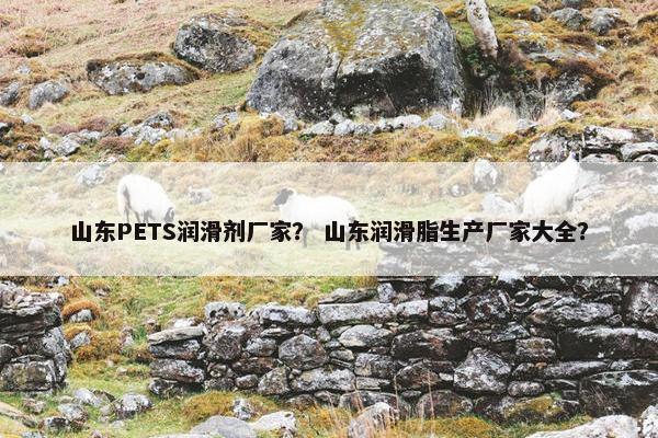 山东PETS润滑剂厂家？ 山东润滑脂生产厂家大全？