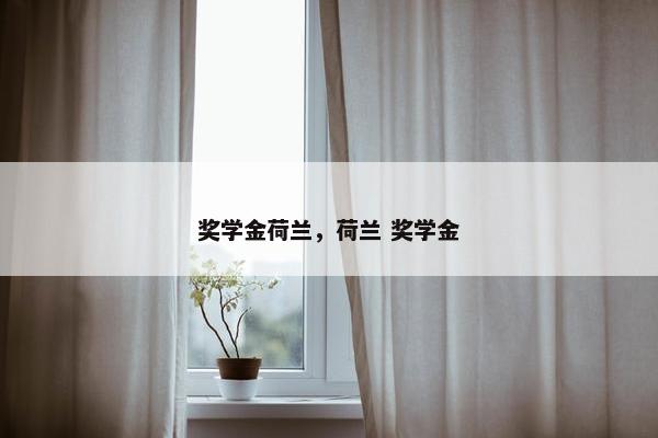 奖学金荷兰，荷兰 奖学金