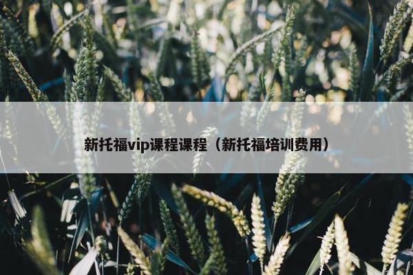新托福vip课程课程（新托福培训费用）