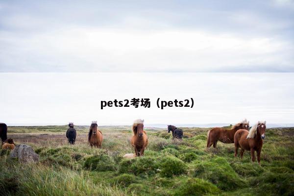 pets2考场（pets2）