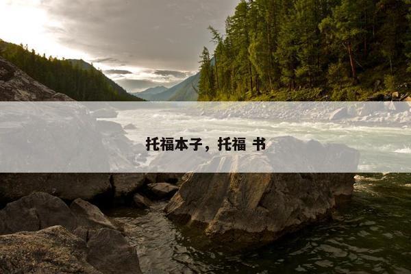 托福本子，托福 书