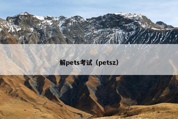 解pets考试（petsz）