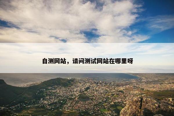 自测网站，请问测试网站在哪里呀