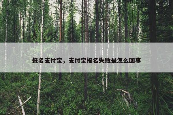 报名支付宝，支付宝报名失败是怎么回事