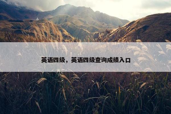 英语四级，英语四级查询成绩入口