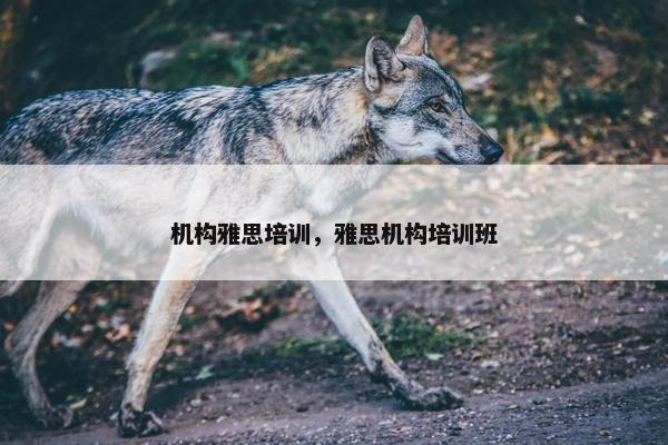 机构雅思培训，雅思机构培训班