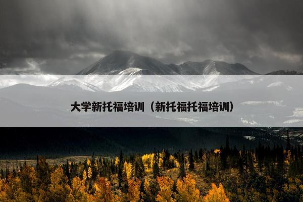 大学新托福培训（新托福托福培训）