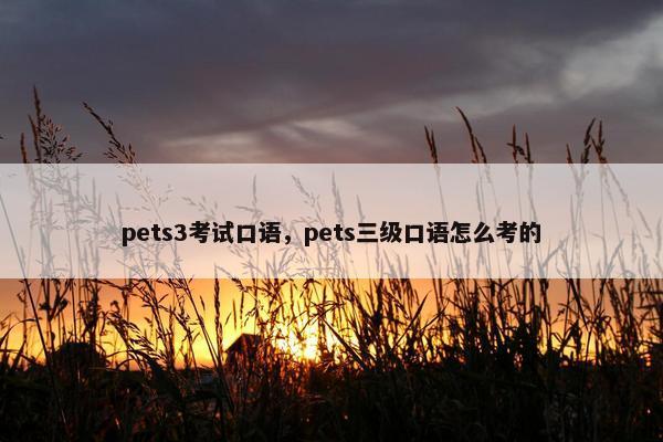 pets3考试口语，pets三级口语怎么考的