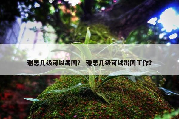雅思几级可以出国？ 雅思几级可以出国工作？