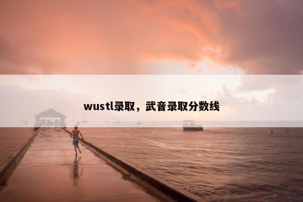 wustl录取，武音录取分数线