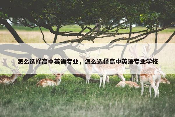 怎么选择高中英语专业，怎么选择高中英语专业学校