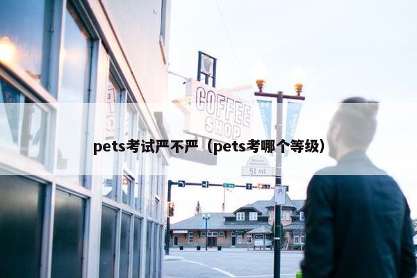 pets考试严不严（pets考哪个等级）