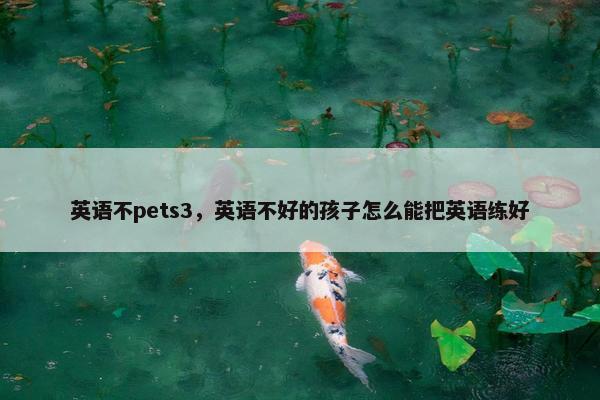 英语不pets3，英语不好的孩子怎么能把英语练好