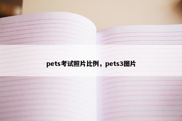 pets考试照片比例，pets3图片