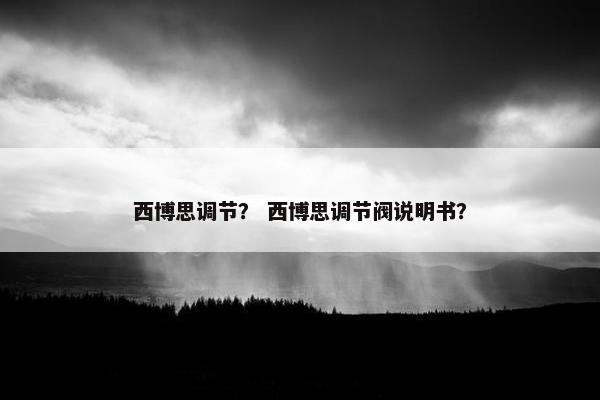 西博思调节？ 西博思调节阀说明书？