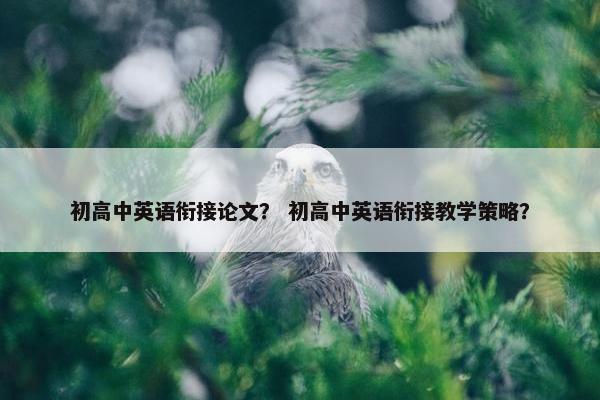 初高中英语衔接论文？ 初高中英语衔接教学策略？