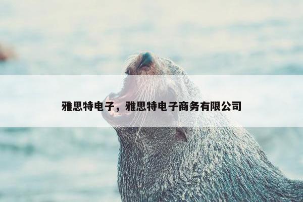 雅思特电子，雅思特电子商务有限公司