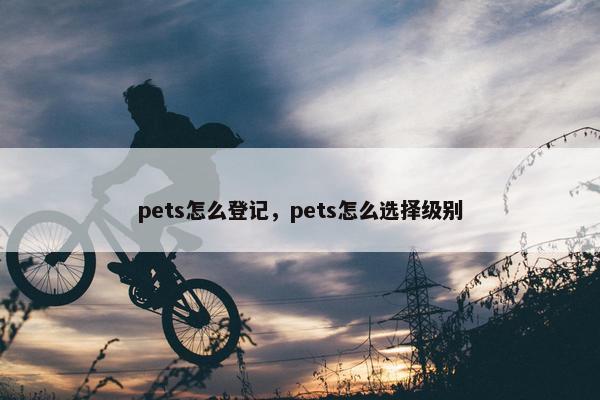 pets怎么登记，pets怎么选择级别