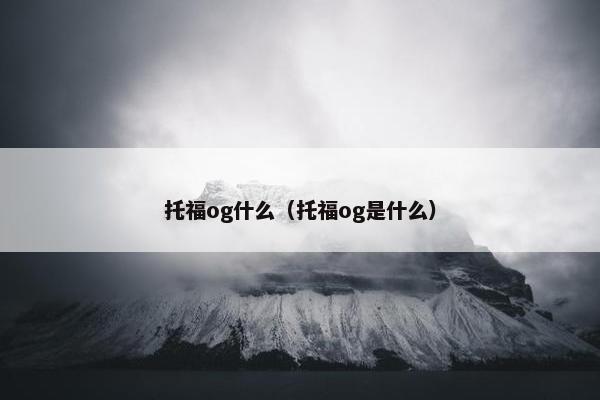 托福og什么（托福og是什么）