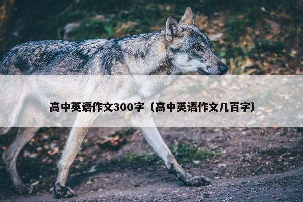 高中英语作文300字（高中英语作文几百字）