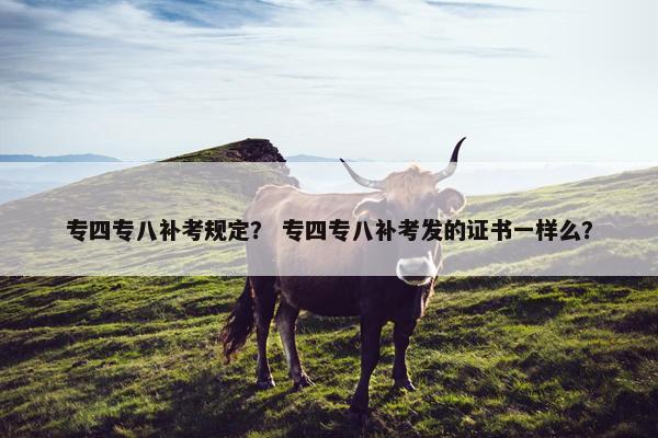 专四专八补考规定？ 专四专八补考发的证书一样么？