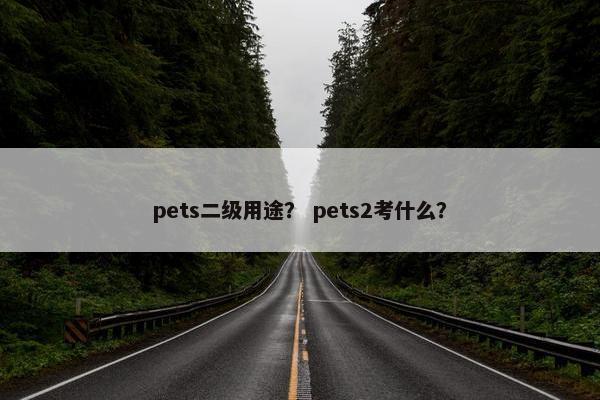 pets二级用途？ pets2考什么？