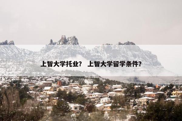 上智大学托业？ 上智大学留学条件？