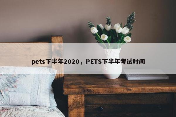 pets下半年2020，PETS下半年考试时间
