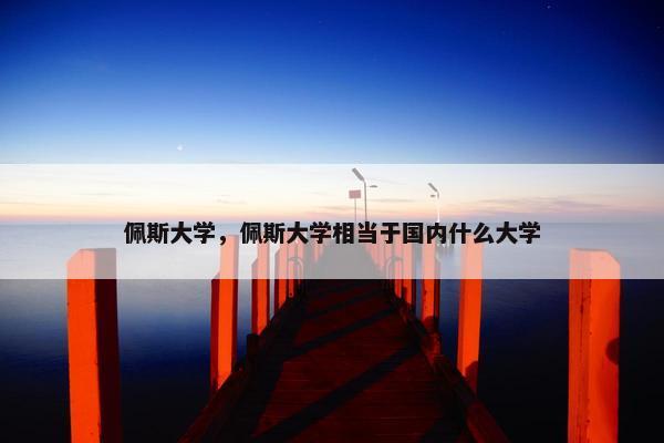 佩斯大学，佩斯大学相当于国内什么大学