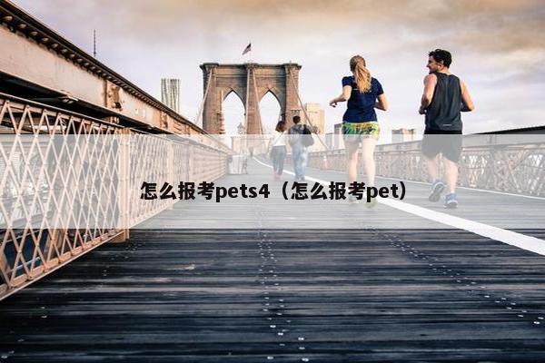 怎么报考pets4（怎么报考pet）