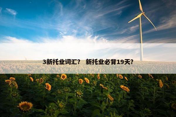 3新托业词汇？ 新托业必背19天？