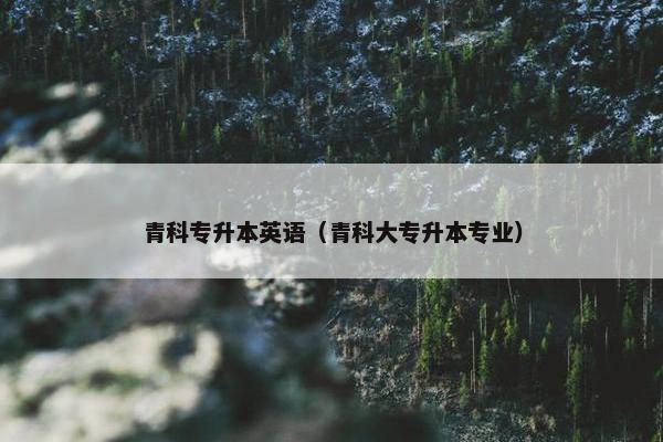 青科专升本英语（青科大专升本专业）