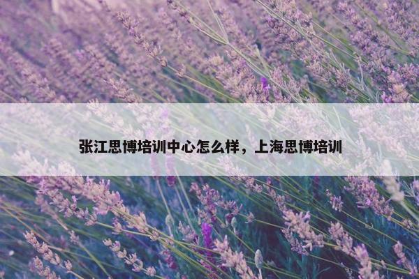 张江思博培训中心怎么样，上海思博培训