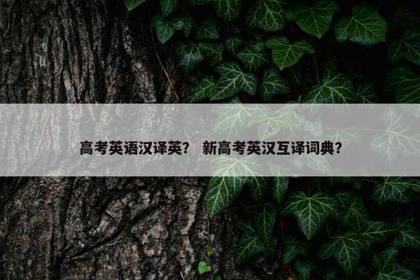 高考英语汉译英？ 新高考英汉互译词典？