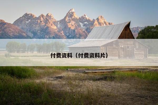 付费资料（付费资料片）