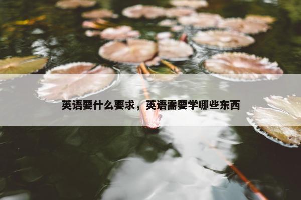 英语要什么要求，英语需要学哪些东西