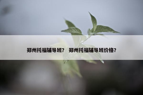 郑州托福辅导班？ 郑州托福辅导班价格？