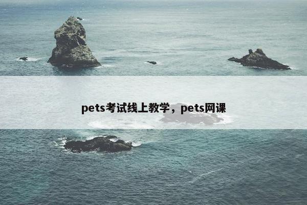 pets考试线上教学，pets网课