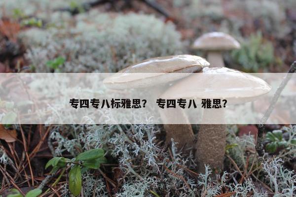 专四专八标雅思？ 专四专八 雅思？