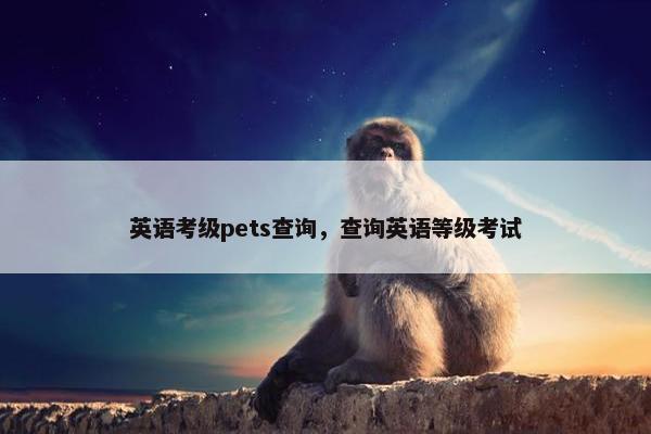 英语考级pets查询，查询英语等级考试
