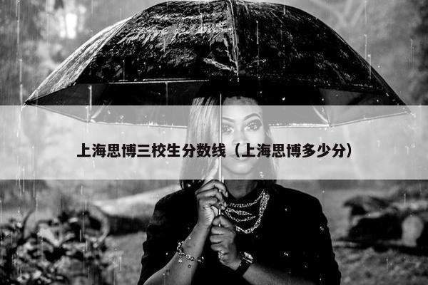 上海思博三校生分数线（上海思博多少分）