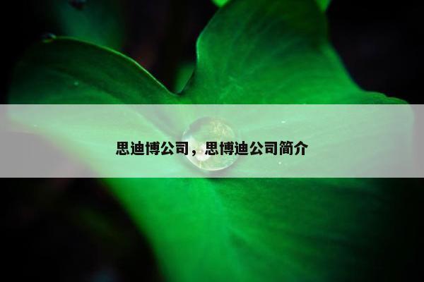 思迪博公司，思博迪公司简介