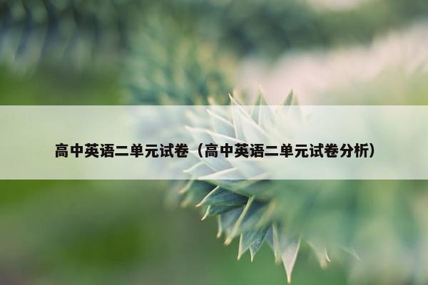 高中英语二单元试卷（高中英语二单元试卷分析）
