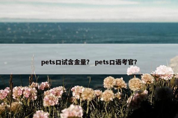 pets口试含金量？ pets口语考官？