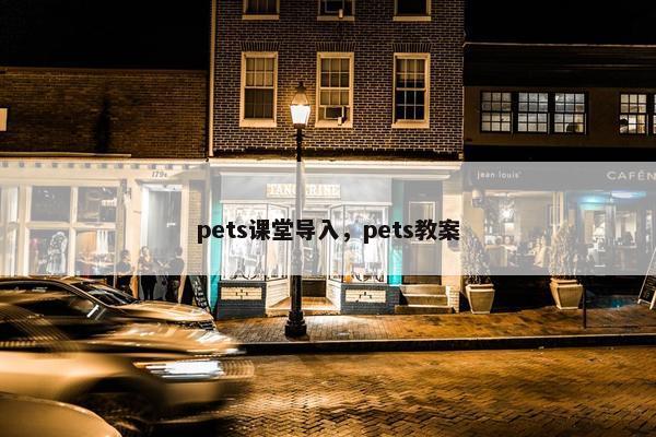 pets课堂导入，pets教案